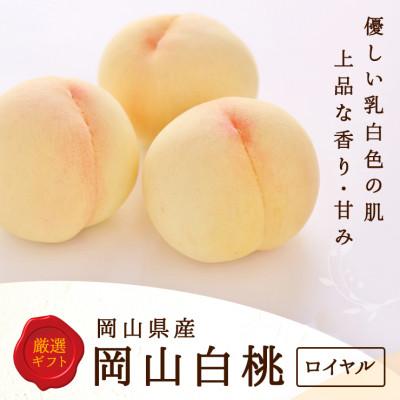 ふるさと納税 倉敷市 [2026年発送]岡山県産 白桃 5玉 (1.5kg以上) 等級:ロイヤル 木箱入り