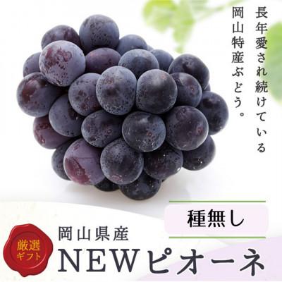 ふるさと納税 西粟倉村 [2026年発送]岡山県産 ニューピオーネ4房(1房480g以上)