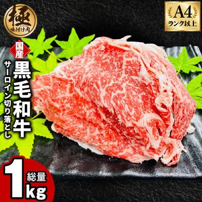 ふるさと納税 泉佐野市 黒毛和牛サーロイン 切り落とし 1kg 極味付け肉 G3655-1