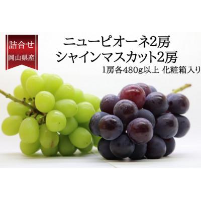ふるさと納税 倉敷市 岡山県産 ぶどう詰合/ニューピオーネ2房・シャインマスカット晴王2房(各1房480g以上)