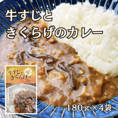 ふるさと納税 唐津市 牛すじときくらげのカレー