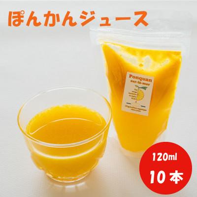 ふるさと納税 須崎市 ポンカンジュース 120ml×10個 冷蔵配送