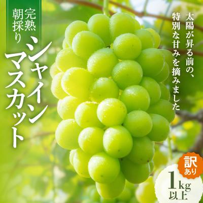 ふるさと納税 西粟倉村 [先行受付/訳あり]岡山県産シャインマスカット約1.0kg(2〜3房)