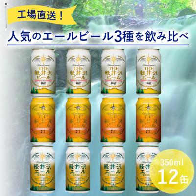 ふるさと納税 佐久市 THE軽井沢ビール 3種12缶 クラフトビール350ml 飲み比べセット