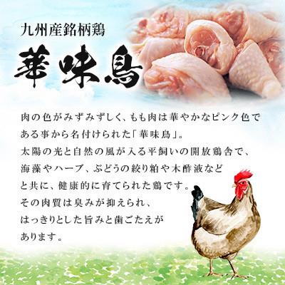 ふるさと納税 大野城市 博多華味鳥 水たき・もつ鍋(醤油味)セット 各3〜4人前(大野城市) |  | 02