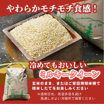ふるさと納税 ひたちなか市 【先行予約・9月以降順次発送】令和8年　ひたちなか市産　ミルキークイーン(玄米)10kg×1袋 |  | 01