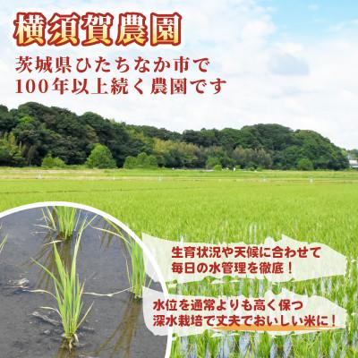 ふるさと納税 ひたちなか市 【先行予約・9月以降順次発送】令和8年　ひたちなか市産　ミルキークイーン(玄米)10kg×1袋 |  | 02