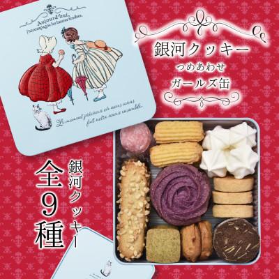 ふるさと納税 大和郡山市 銀河クッキー 詰め合わせ ガールズ缶