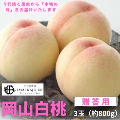 ふるさと納税 新見市 岡山県産白桃 3玉・約800g(クール便)