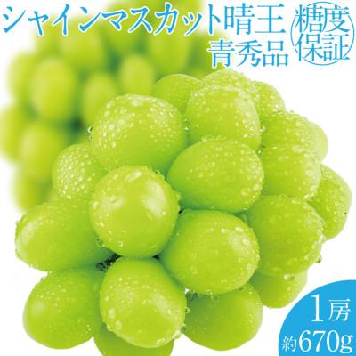 ふるさと納税 早島町 2026年 9月〜10月発送 先行予約 シャインマスカット 晴王 1房 約670g 岡山県産