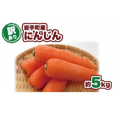 ふるさと納税 岩手町 [訳あり]岩手町産の旬野菜 にんじん 約5kg