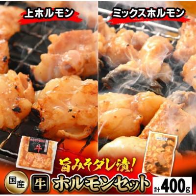 ふるさと納税 越前町 国産 牛ホルモン セット 計400g(上ホルモン・ミックスホルモン 各1袋) 旨みそダレ漬け!