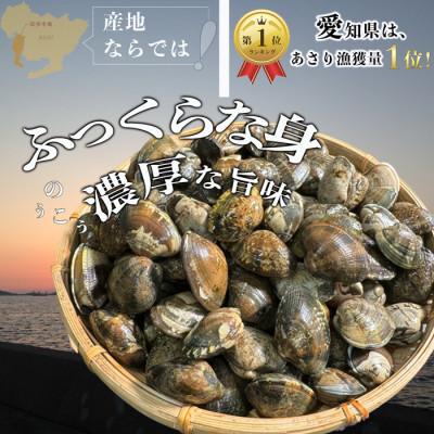 ふるさと納税 南知多町 天然あさり 冷凍1.2kg(300g×4袋) 砂抜き