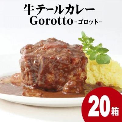 ふるさと納税 佐世保市 [2024北野エースカレー大賞受賞][驚きの肉量]牛テールカレー ゴロット 20箱入