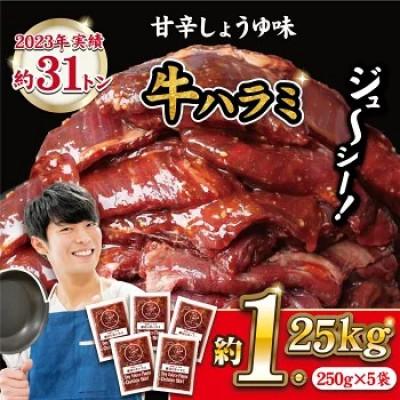 ふるさと納税 佐世保市 秘伝のタレ 厚切り牛ハラミ 計1.25kg (250g×5パック)