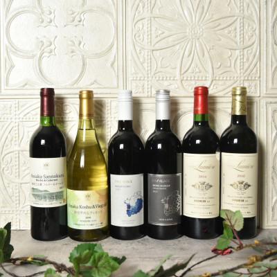 ふるさと納税 笛吹市 笛吹市産 プレミアム ワイン 6本セット 笛吹桃源セレクト 山梨県産 157-013