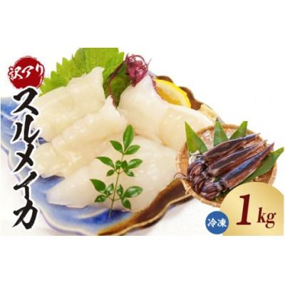 ふるさと納税 香美町 スルメイカ(冷凍)約1kgサイズ不揃い(冷凍)