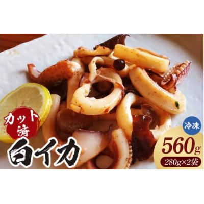 ふるさと納税 香美町 カット済 やわらか白イカ(生凍結)280g×2袋(冷凍)