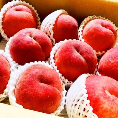 ふるさと納税 中山町 【令和8年産先行受付】山形県中山町産 白桃 秀品 約5kg ※品種おまかせ 軟らかくなる桃の画像