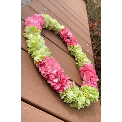 ふるさと納税 ふじみ野市 ハワイアンレイ生花 スプレーカーネーション(2色:Kuiスタイル)