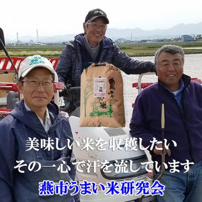 ふるさと納税 燕市 [令和7年産新米 ]おかずのいらないコシヒカリ「つばめ返し」玄米 20kg