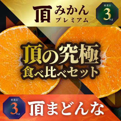 ふるさと納税 八幡浜市 頂みかんプレミアム&amp;頂まどんな 食べ比べ2箱セット[各3kg][G31-53]