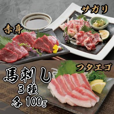 ふるさと納税 あさぎり町 3種の馬刺し 300g[赤身・フタエゴ・サガリ各100g](あさぎり町)