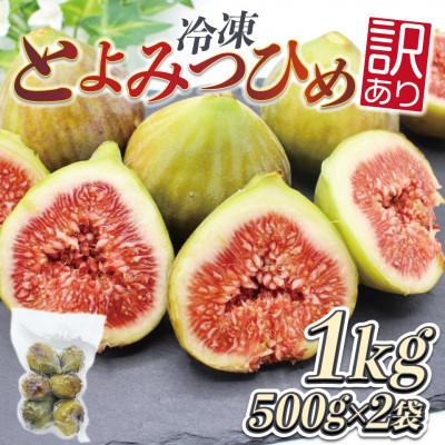 ふるさと納税 春日市 訳あり冷凍いちじく「とよみつひめ」500g×2袋(1kg)(春日市)