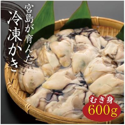 ふるさと納税 廿日市市 (加熱用)宮島が育んだ冷凍牡蠣(むき身)600g