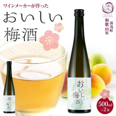 ふるさと納税 湯浅町 ワインメーカーが作ったおいしい梅酒 紀州南高梅 使用 12度 500ml 2本 湯浅ワイナリー