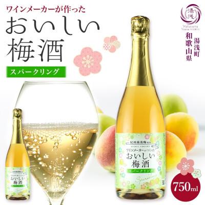 ふるさと納税 湯浅町 ワインメーカーが作ったおいしい梅酒 スパークリング 紀州南高梅 使用 750ml 湯浅ワイナリー