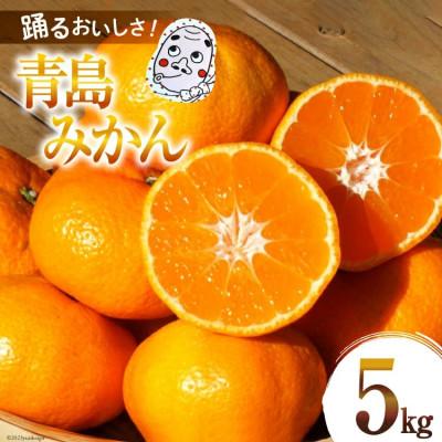 ふるさと納税 日向市 [期間限定発送]踊るおいしさ!味濃く甘い! 青島みかん 2L 5kg