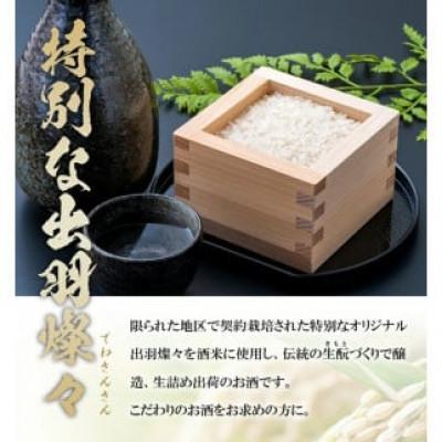 ふるさと納税 酒田市 押さえる醸造酒 酒田の砂潟仕かける 計2本(各1800ml×1本)