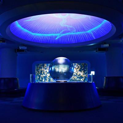 ふるさと納税 藤沢市 新江ノ島水族館　入場券　大人3枚 |  | 02
