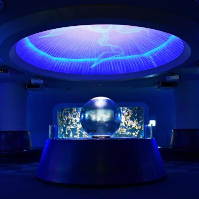 ふるさと納税 藤沢市 新江ノ島水族館　入場券　大人2枚 |  | 02