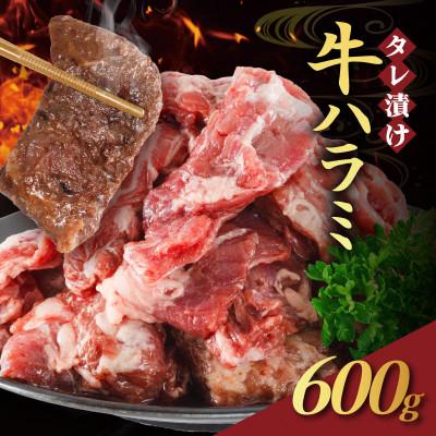 ふるさと納税 南丹市 味付け牛ハラミ 訳あり タレ漬け 600g(300g×2)BBQにも