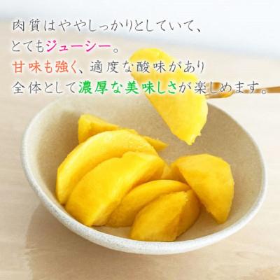 ふるさと納税 中山町 【令和9年産先行受付】山形県産黄桃 約2kg(品種おまかせ) 特秀品 柔らかくなる桃 |  | 02