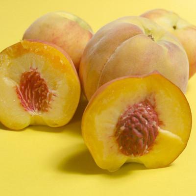 ふるさと納税 中山町 【令和9年産先行受付】山形県産黄桃 約2kg(品種おまかせ) 特秀品 柔らかくなる桃 |  | 03