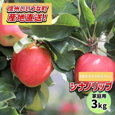ふるさと納税 飯綱町 [訳あり] りんご シナノリップ 2026年9月発送 3kg