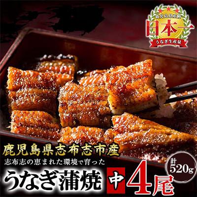 ふるさと納税 志布志市 鹿児島県産 うなぎの大楠 〈中〉 4尾 計520g 130g×4 【大楠鰻】 b5-171 | 