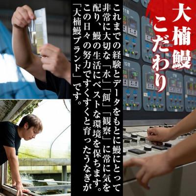 ふるさと納税 志布志市 鹿児島県産 うなぎの大楠 〈中〉 4尾 計520g 130g×4 【大楠鰻】 b5-171 |  | 02