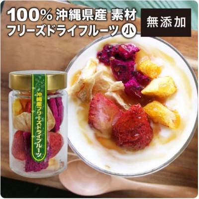 ふるさと納税 糸満市 沖縄フリーズドライフルーツ (30g)×2