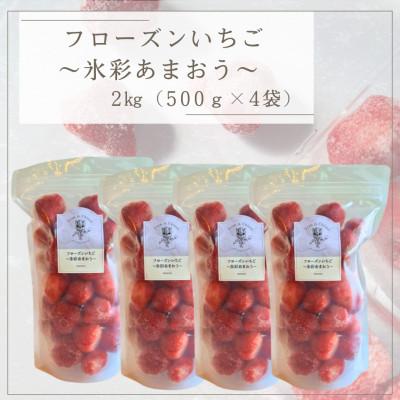ふるさと納税 筑後市 フローズンいちご〜氷彩あまおう〜 2kg(500g×4袋