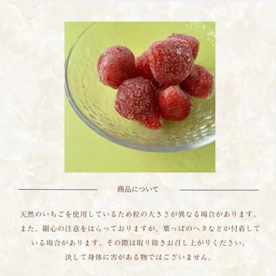 ふるさと納税 筑後市 フローズンいちご〜氷彩あまおう〜 1kg(500g×2袋