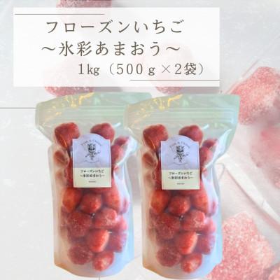 ふるさと納税 筑後市 フローズンいちご〜氷彩あまおう〜 1kg(500g×2袋