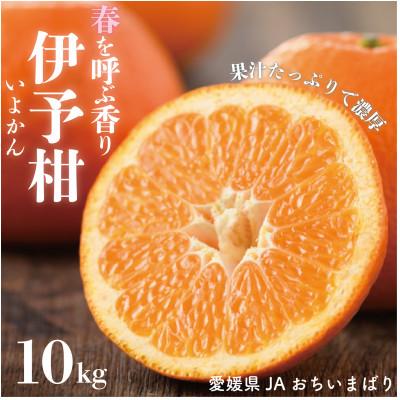 ふるさと納税 上島町 愛媛県産伊予柑 10kg 2L〜L