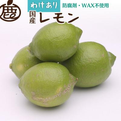 ふるさと納税 九度山町 家庭用 レモン1kg+250g(傷み補償分)[防腐剤・WAX不使用、安心の国産レモン][訳あり]