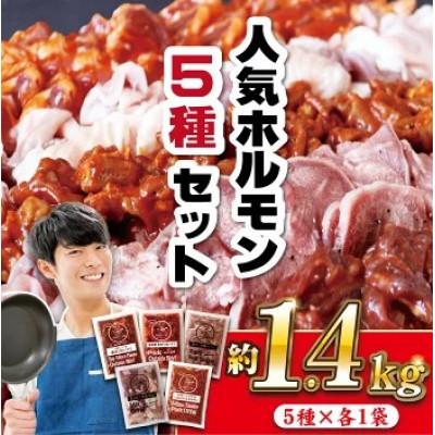 ふるさと納税 佐世保市 特製タレ漬け 工場直送!ホルモン 人気5種セット 計1.4kg