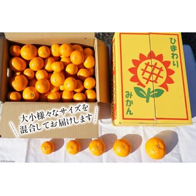 ふるさと納税 日向市 【期間限定発送】 みかん 訳あり 日向ひまわり 石地みかん 2S 〜 L サイズ 5kg |  | 01