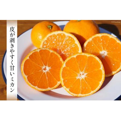 ふるさと納税 日向市 【期間限定発送】 みかん 訳あり 日向ひまわり 石地みかん 2S 〜 L サイズ 5kg |  | 02